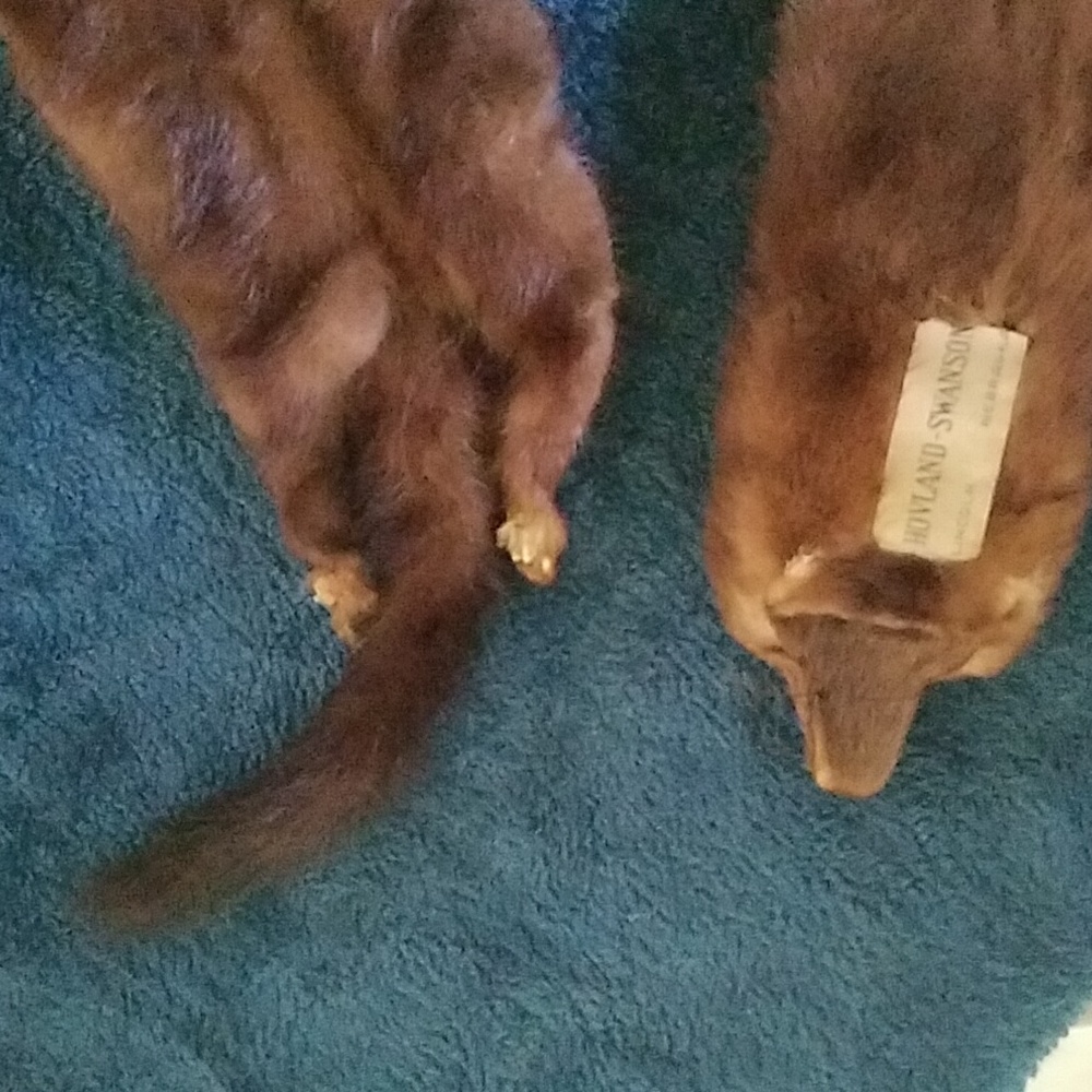 Mink full pelt stall - Picture 5 of 8